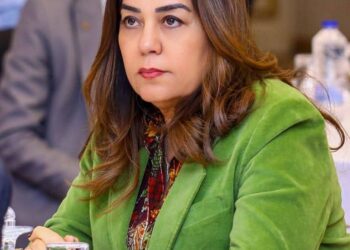 التنمية المحلية: بدء التشغيل التجريبى لـ4 مجازر بتكلفة 129 مليون جنيه