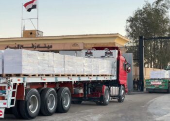 الهلال الأحمر المصري يطلق القافلة 113 «زاد العزة» محمّلة بأكثر من 5 آلاف طن مساعدات إلى غزة