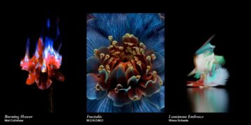 إل جي تتعاون مع Sedition لتقديم فنون رقمية معاصرة عبر خدمة LG Gallery+