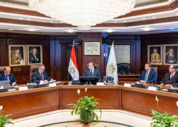 “البنك المركزي المصري”يبحث مع “التخطيط والتنمية الاقتصادية”أوجه التعاون المشترك