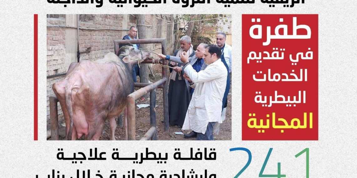 الزراعة: 241 قافلة بيطرية لدعم صغار المربين في 238 قرية خلال يناير