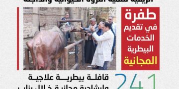 الزراعة: 241 قافلة بيطرية لدعم صغار المربين في 238 قرية خلال يناير