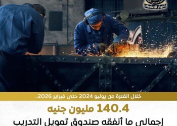 374,3 مليون جنيه إجمالي إنفاق “تمويل التدريب والتأهيل” منذ تأسيسه