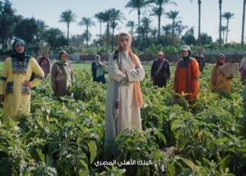 رؤية تتجاوز الأرقام: البنك الأهلي المصري .. من العمل المصرفي إلى صناعة الأثر المجتمعي