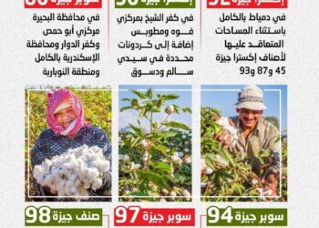 “الزراعة” تعلن خريطة أصناف القطن المعتمدة لموسم 2026