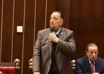 نبيل دعبس: توجيهات الرئيس بشأن المتلاعبين بالأسعار رسالة ردع قوية