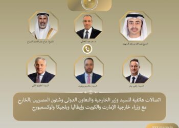 وزير الخارجية يبحث مع نظرائه سبل خفض التصعيد في المنطقة