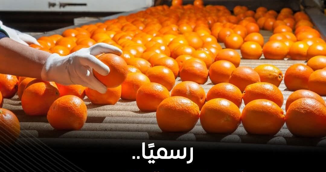 مصر تفتح السوق البنمي أمام صادرات الموالح لأول مرة