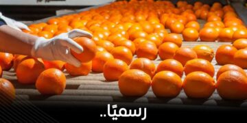 مصر تفتح السوق البنمي أمام صادرات الموالح لأول مرة