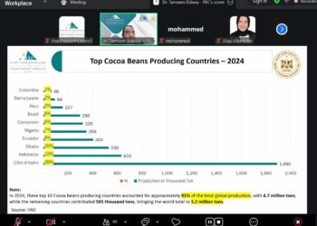 295 مليون دولار صادرات الشوكولاتة المصرية في 2025
