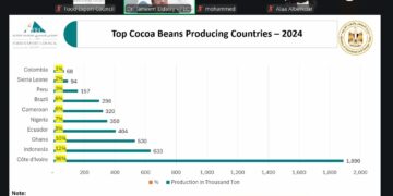 295 مليون دولار صادرات الشوكولاتة المصرية في 2025