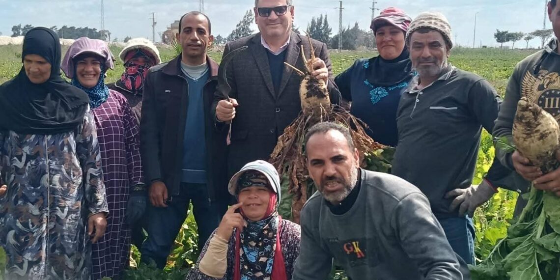 “البحوث الزراعية” تدعم التوسع في بنجر السكر لتعزيز الأمن الغذائي