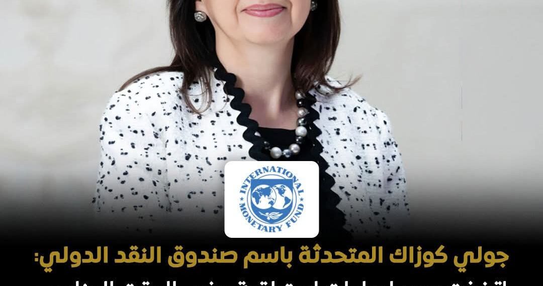 صندوق النقد: مرونة سعر الصرف ساعدت مصر على احتواء تداعيات الأزمة الإقليمية