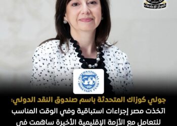 صندوق النقد: مرونة سعر الصرف ساعدت مصر على احتواء تداعيات الأزمة الإقليمية