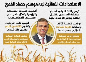 «الزراعة»: جاهزية كاملة لحصاد القمح.. 2500 جنيه للإردب ومستهدف 5 ملايين طن