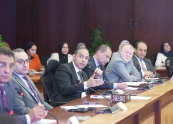 الرقابة المالية تبحث مع شركات التمويل تطوير آليات التسعير وتعزيز كفاءة النشاط