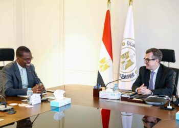 التخطيط تبحث مع البنك الإفريقي للتنمية توسيع الشراكة وتمويل مشروعات البنية التحتية