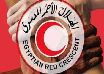 الهلال الأحمر: استمرار تدفق المساعدات المصرية إلى غزة دون توقف