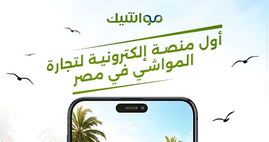 مواشيك تطلق منصة رقمية لتداول المواشي وإدارة المزارع في مصر