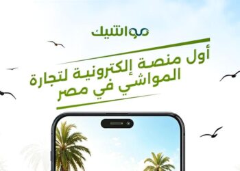 مواشيك تطلق منصة رقمية لتداول المواشي وإدارة المزارع في مصر