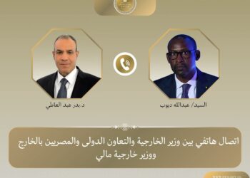 مصر ومالي تبحثان تعزيز التعاون ومكافحة الإرهاب في الساحل