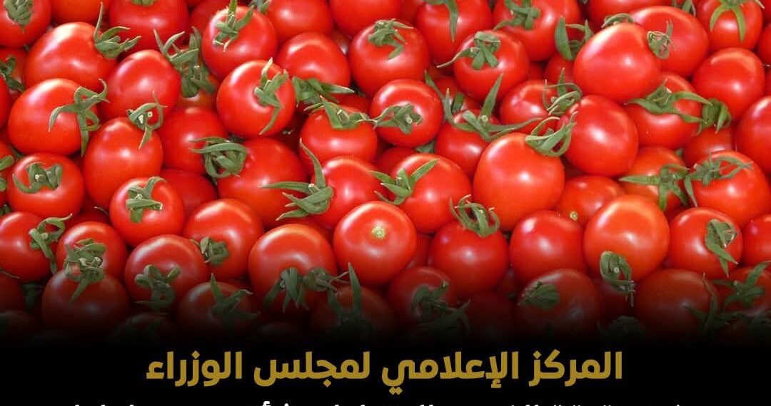 الحكومة تنفي شائعة رش الطماطم بـ”الإيثريل” وتؤكد سلامة المحاصيل