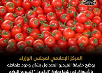 الحكومة تنفي شائعة رش الطماطم بـ”الإيثريل” وتؤكد سلامة المحاصيل
