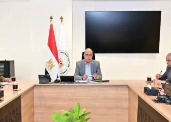 وزيرا خارجية مصر وفرنسا يبحثان تطورات المنطقة وتعزيز التعاون الثنائي
