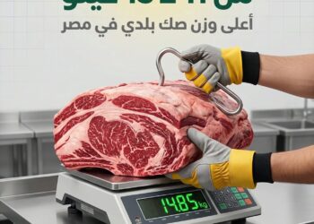 «تطبيق سند» تطلق موسم الأضاحي 2026 بمنظومة رقمية متكاملة لتعزيز الشفافية