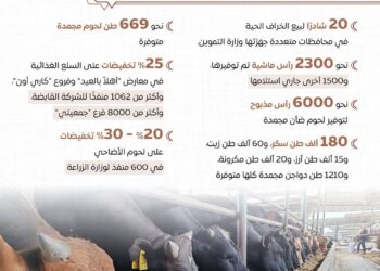 الدولة تكثف استعداداتها لعيد الأضحى بتوفير اللحوم والأضاحي