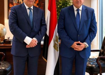 مصر والسويد تبحثان تعزيز التعاون في الملكية الفكرية والصناعات الدوائية