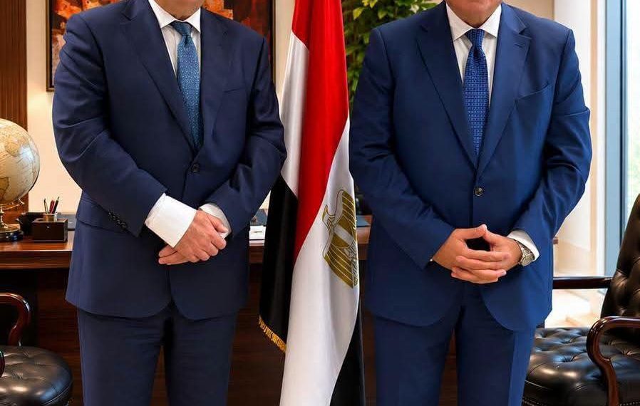 مصر والسويد تبحثان تعزيز التعاون في الملكية الفكرية والصناعات الدوائية