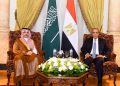 وزيرا خارجية مصر والسعودية يبحثان تعزيز التعاون والتنسيق بشأن القضايا الإقليمية