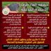 الزراعة: استمرار صرف الأسمدة المدعمة دون تغيير لـ5 ملايين مزارع