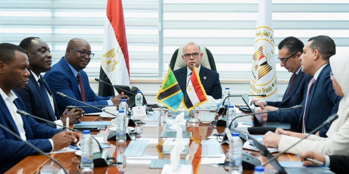الاستثمار تدرس تنظيم بعثة تجارية إلى تنزانيا لتعزيز الصادرات لشرق إفريقيا