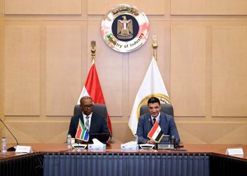 الصناعة: نستهدف التكامل الصناعي مع جنوب أفريقيا وزيادة إنتاج السيارات بحلول 2030