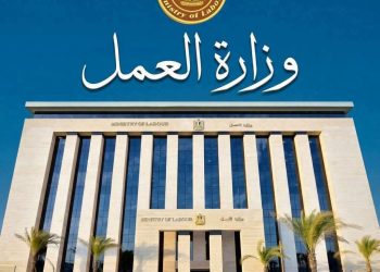 وزارة العمل: احذروا صفحات «منحة العمالة غير المنتظمة» الوهمية
