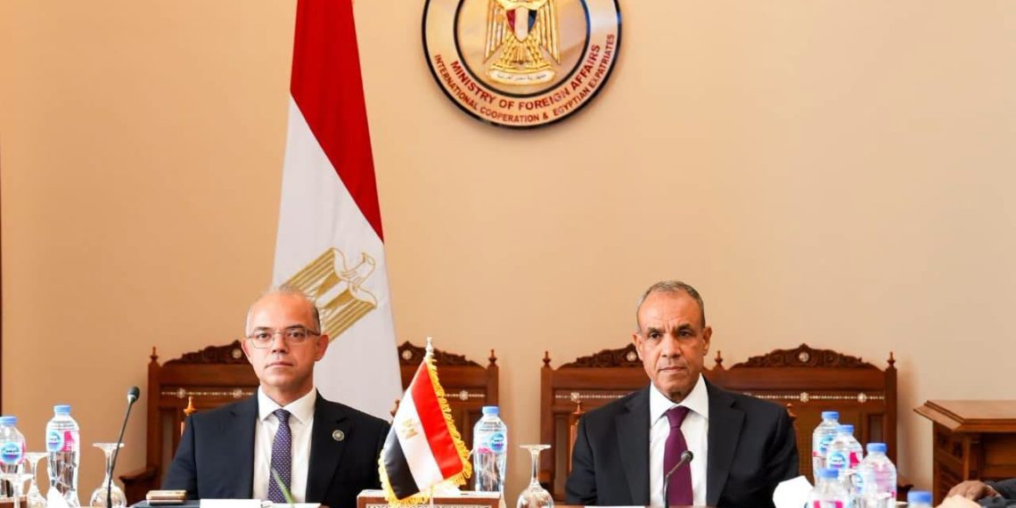 الخارجية والاستثمار تبحثان دعم توسع الشركات المصرية في إفريقيا