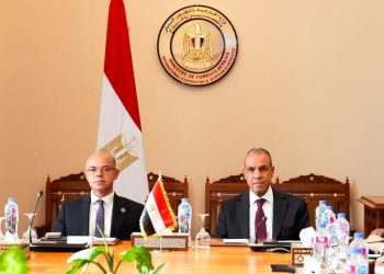 الخارجية والاستثمار تبحثان دعم توسع الشركات المصرية في إفريقيا