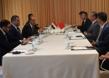 وزير الخارجية يبحث مع نظيره الصيني تعزيز الشراكة الاستراتيجية والتطورات الإقليمية