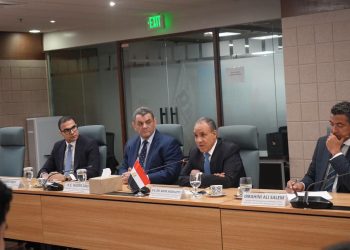 وزير الخارجية يبحث مع وزيرة التجارة الفلبينية تعزيز التعاون الاقتصادي والتجاري