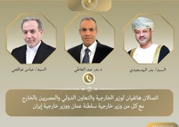 وزير الخارجية يبحث مع نظيريه الإيراني والعُماني جهود التهدئة وحماية الملاحة