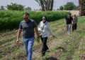 البنك الأهلي الكويتي – مصر يتعاون مع “بنك الطعام” لدعم صغار المزارعين في بني سويف