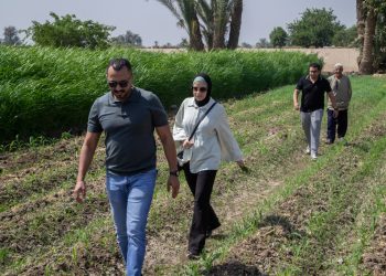 البنك الأهلي الكويتي – مصر يتعاون مع “بنك الطعام” لدعم صغار المزارعين في بني سويف