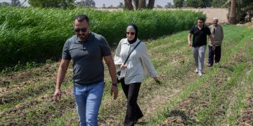 البنك الأهلي الكويتي – مصر يتعاون مع “بنك الطعام” لدعم صغار المزارعين في بني سويف