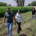 البنك الأهلي الكويتي – مصر يتعاون مع “بنك الطعام” لدعم صغار المزارعين في بني سويف