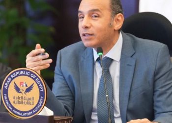 قرار جديد من الرقابة المالية لتعزيز الحماية التأمينية للمصريين بالخارج .. تفاصيل