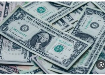 استقرار سعر الدولار أمام الجنيه المصري خلال عطلة البنوك