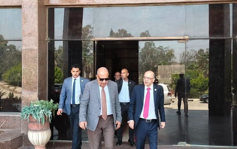 وزير الكهرباء يتابع مشروعات استخلاص العناصر الأرضية النادرة وتعظيم العائد من الخامات التعدينية