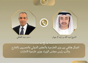 وزيرا خارجية مصر والإمارات يبحثان العلاقات الثنائية وتطورات الأوضاع الإقليمية